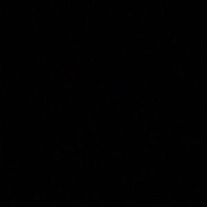 Meet your Posher, Sadie